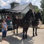 2019_OTRA_0603 (September 01, 2019)